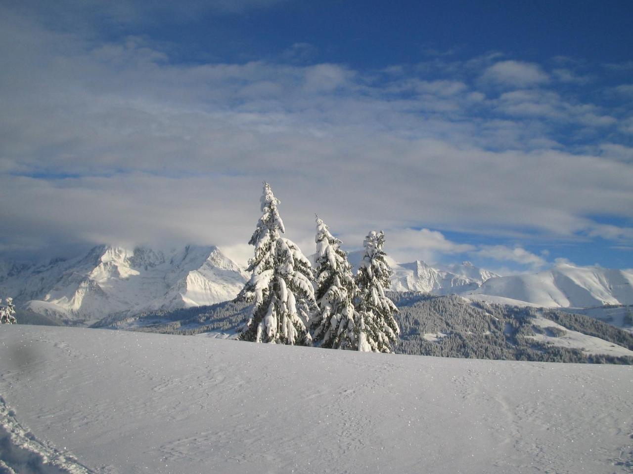 Alp-Hotel Megève Eksteriør bilde